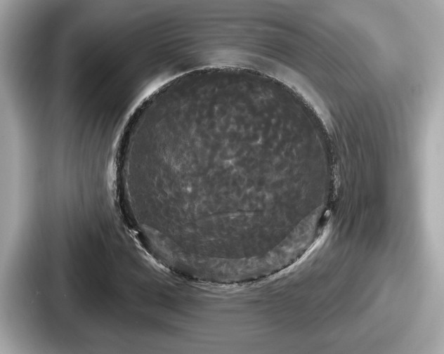 X0000087630975200705101024