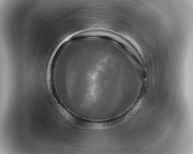 X0000087630976200705101024