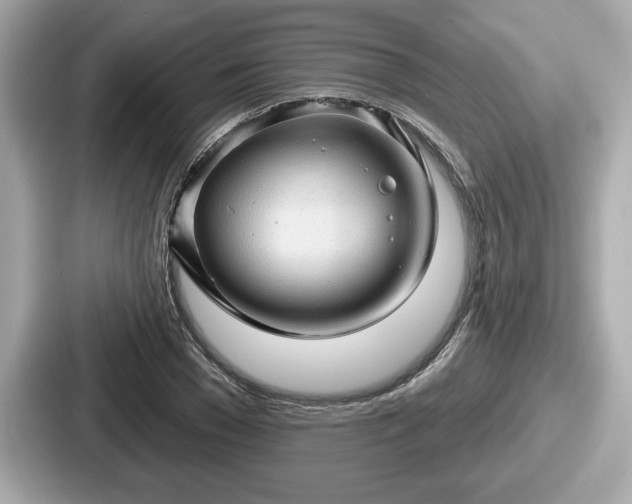 X0000087630977200705101024