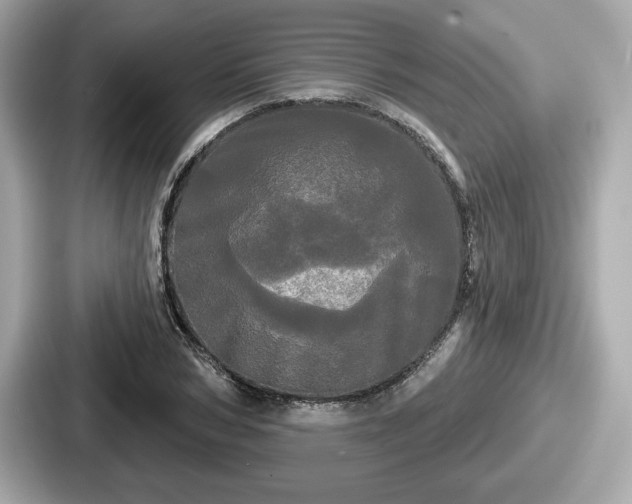 X0000087630978200705101024