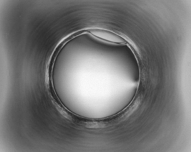 X0000087630980200705101024