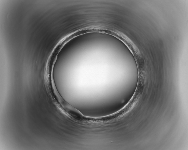 X0000087630981200705101024