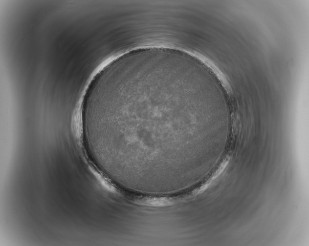 X0000087630982200705101024