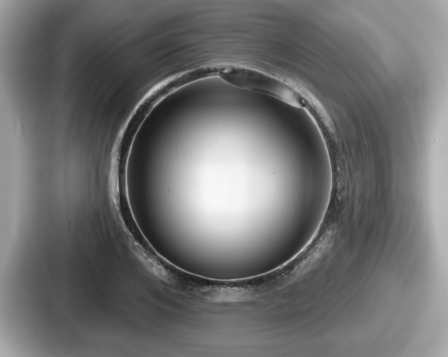 X0000087630984200705101024