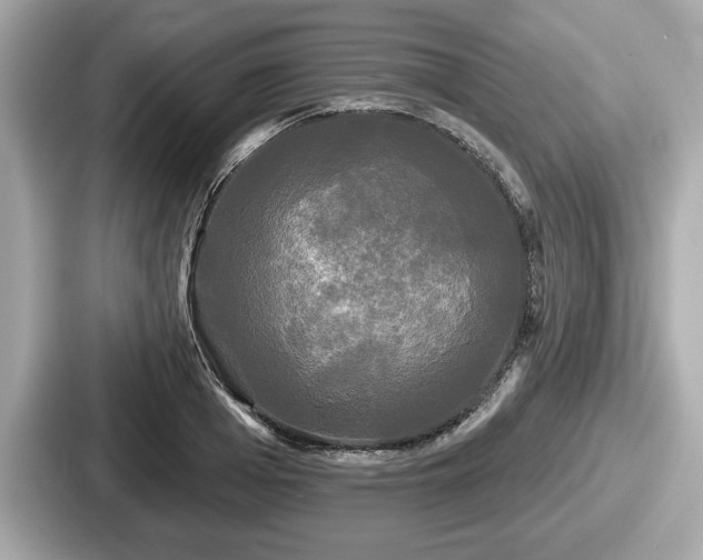 X0000087630985200705101024