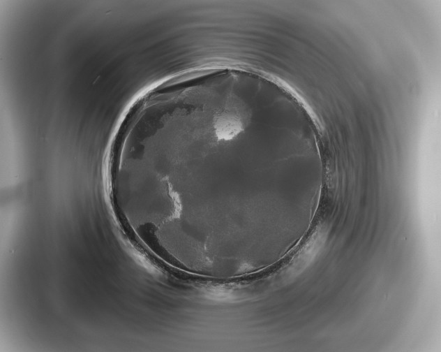 X0000087630987200705101024