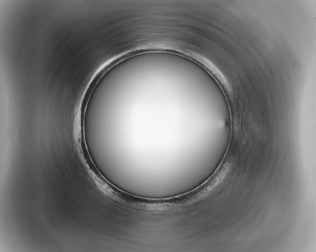 X0000087630988200705101024