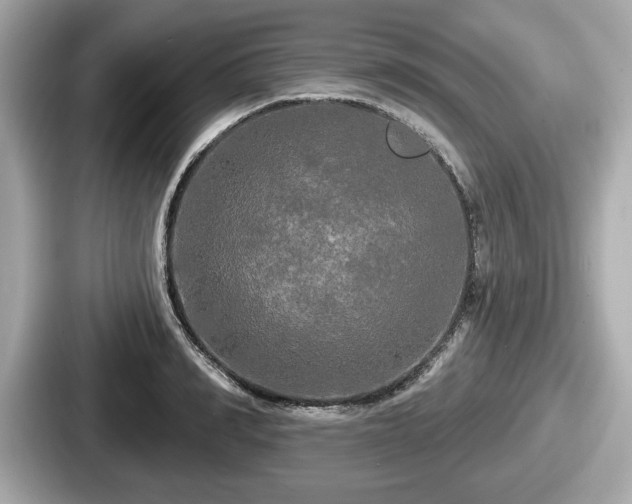 X0000087630990200705101024