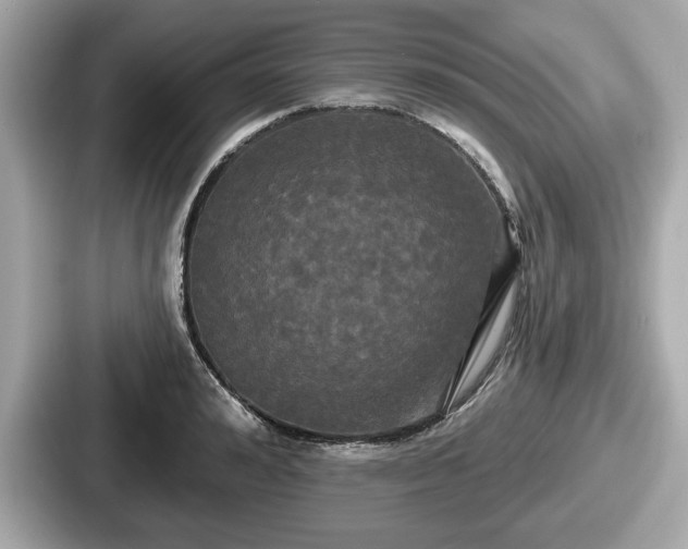 X0000087630992200705101024