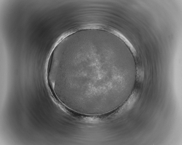 X0000087630994200705101024