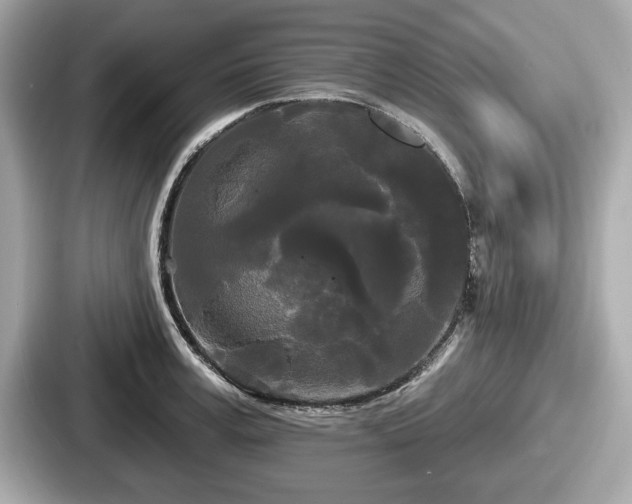 X0000087630995200705101024