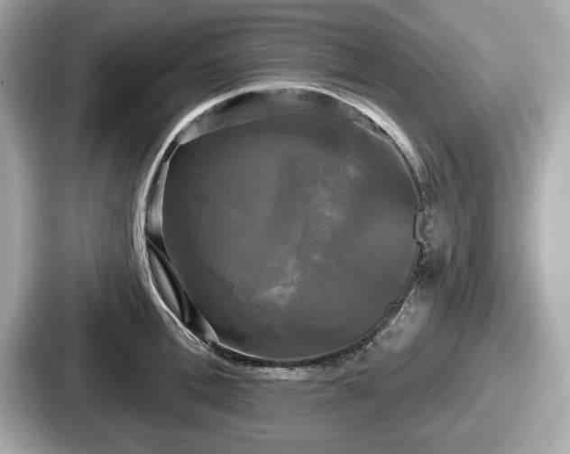 X0000087630996200705101024