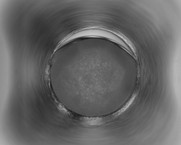 X0000087631001200705101024