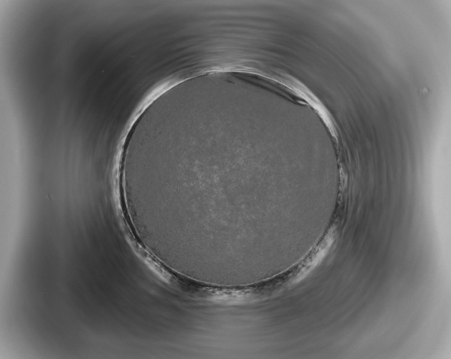 X0000087631002200705101024