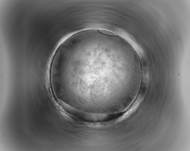 X0000087631004200705101024