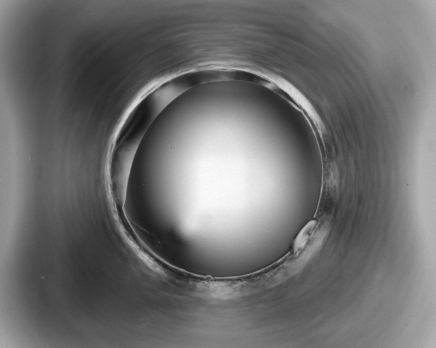 X0000087631005200705101024