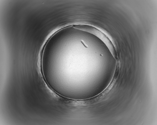 X0000087631006200705101024