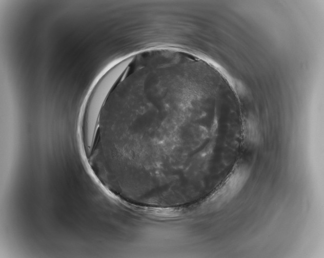 X0000087631007200705101024