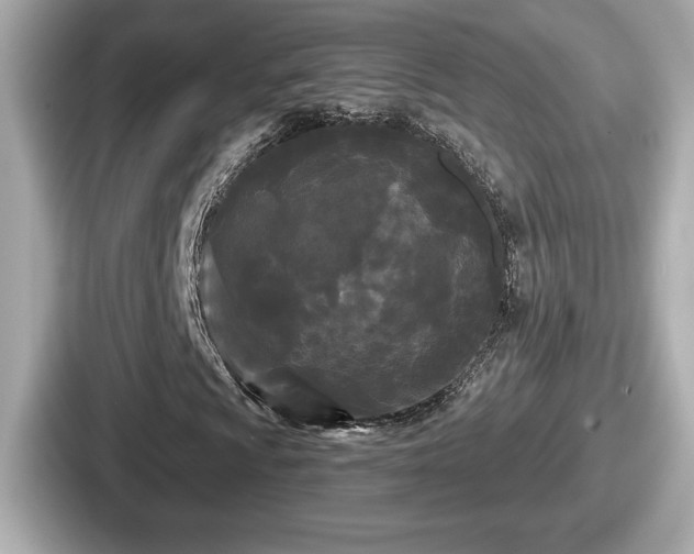 X0000087631009200705101023