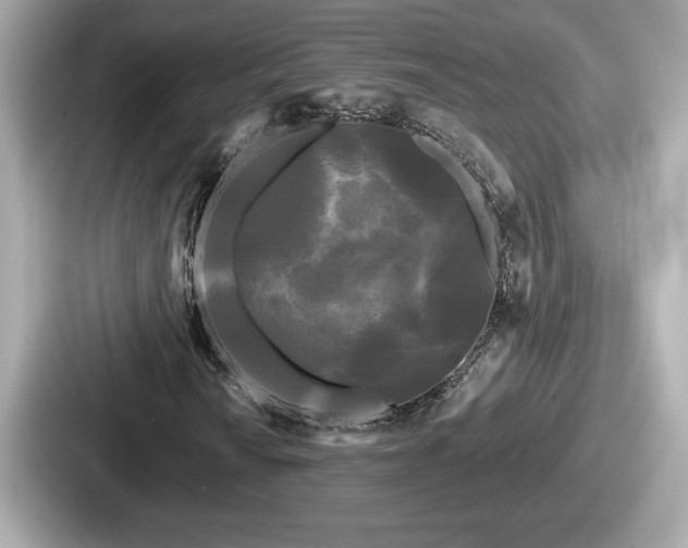 X0000087631010200705101023