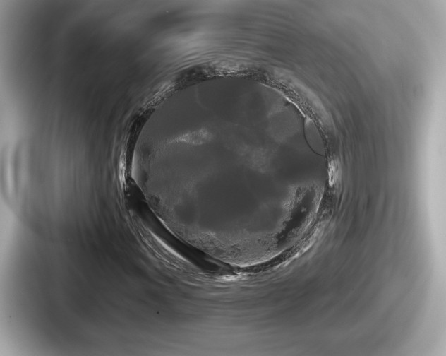 X0000087631011200705101023