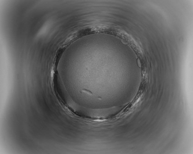 X0000087631012200705101023