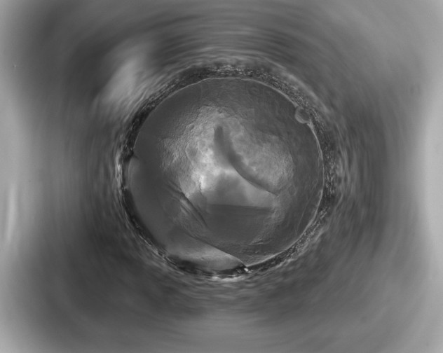 X0000087631013200705101023