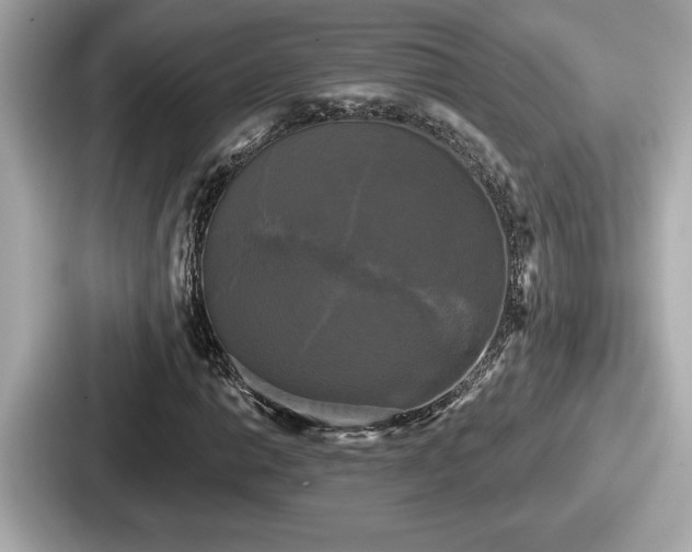 X0000087631014200705101023