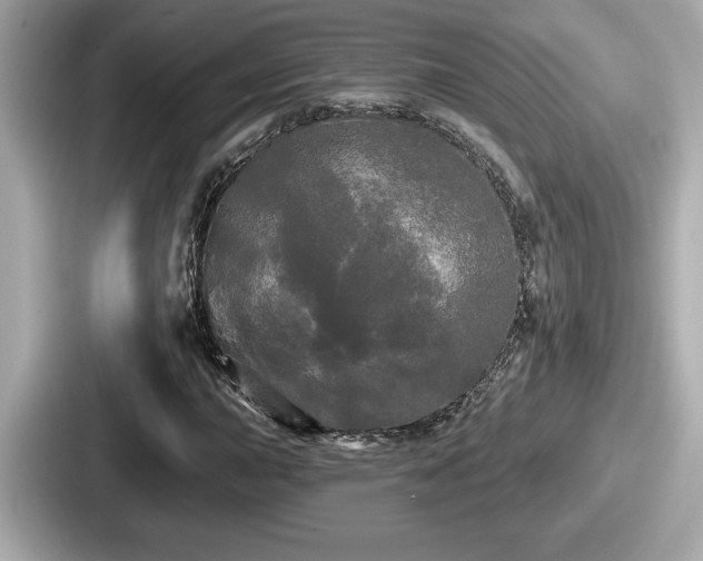 X0000087631015200705101023