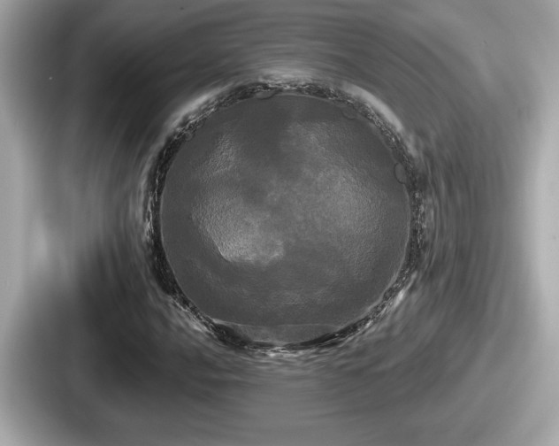 X0000087631016200705101023