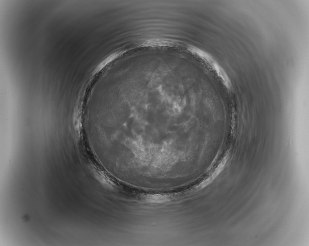 X0000087631017200705101023