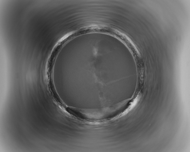 X0000087631018200705101023