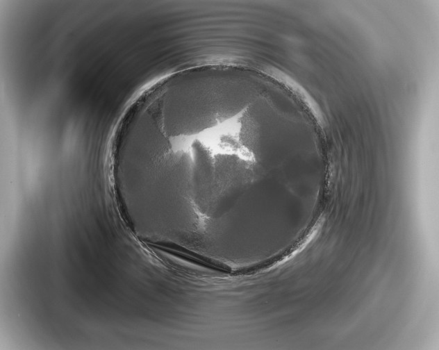 X0000087631019200705101023