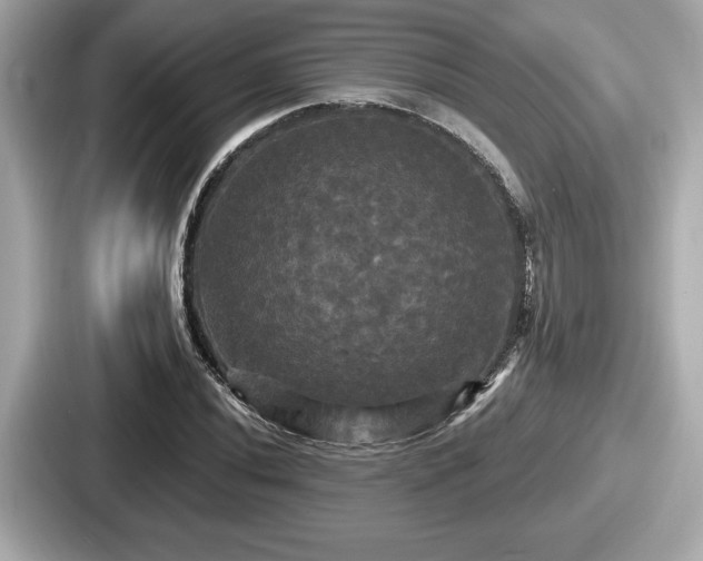 X0000087631020200705101023