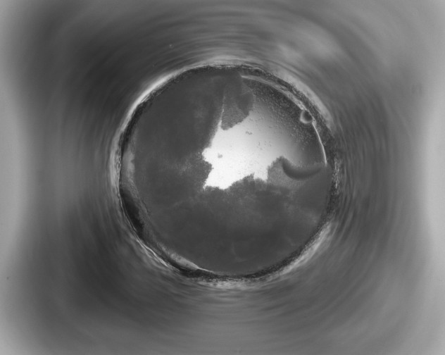 X0000087631021200705101023