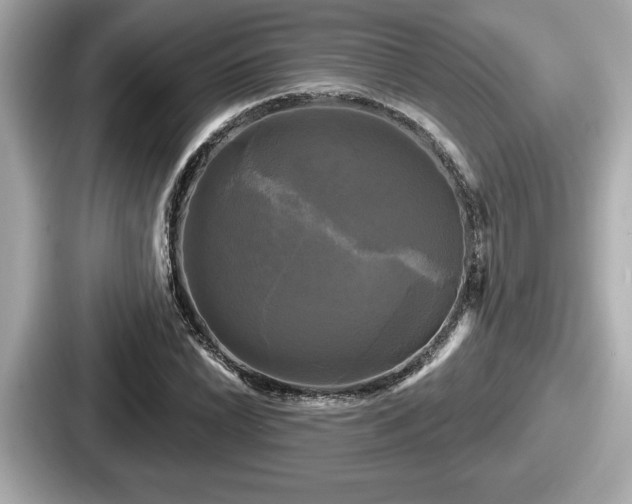 X0000087631022200705101023