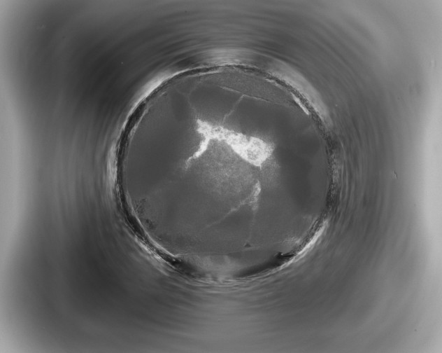 X0000087631023200705101023