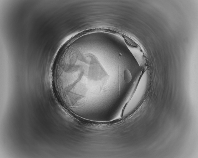 X0000087631024200705101023