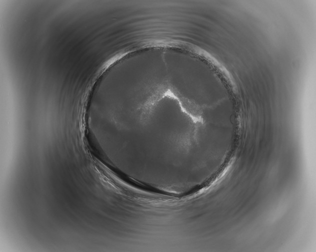 X0000087631025200705101023