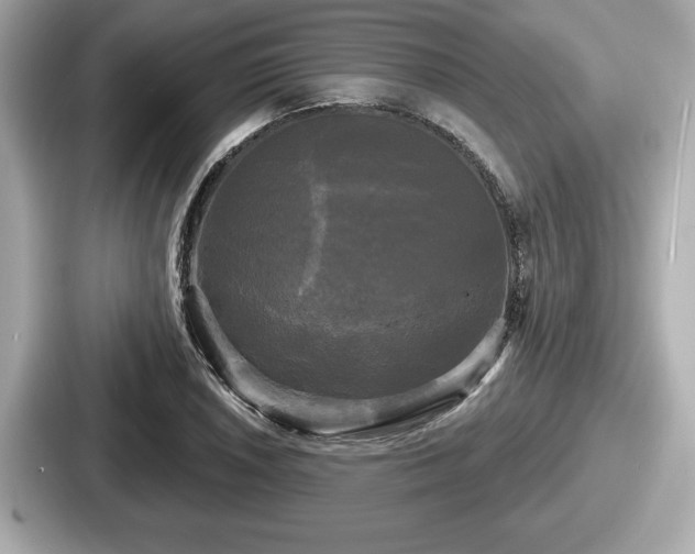 X0000087631026200705101023