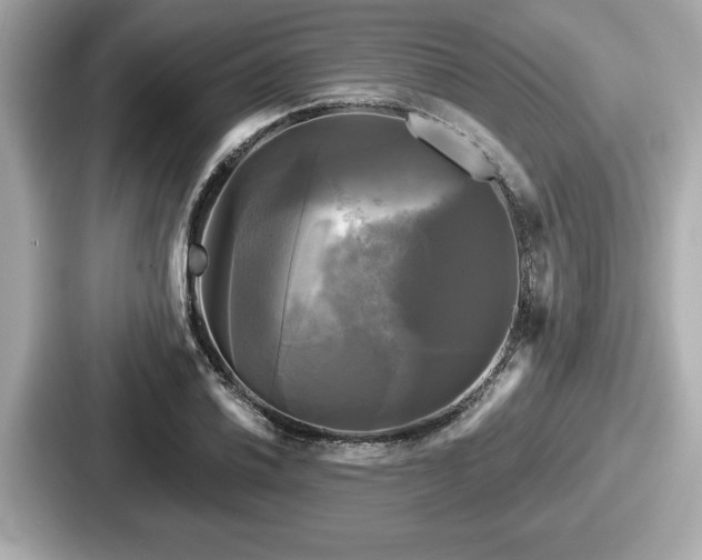 X0000087631030200705101023