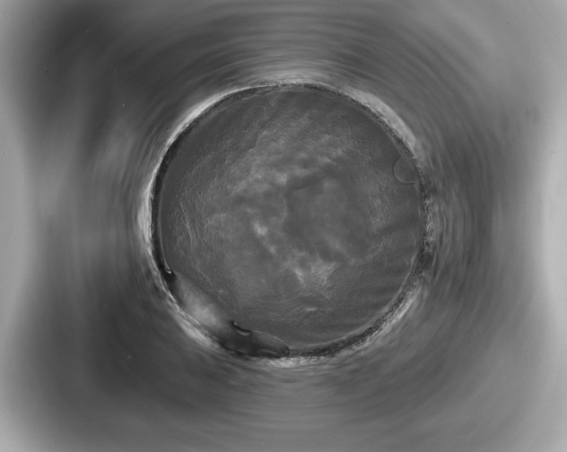 X0000087631031200705101023