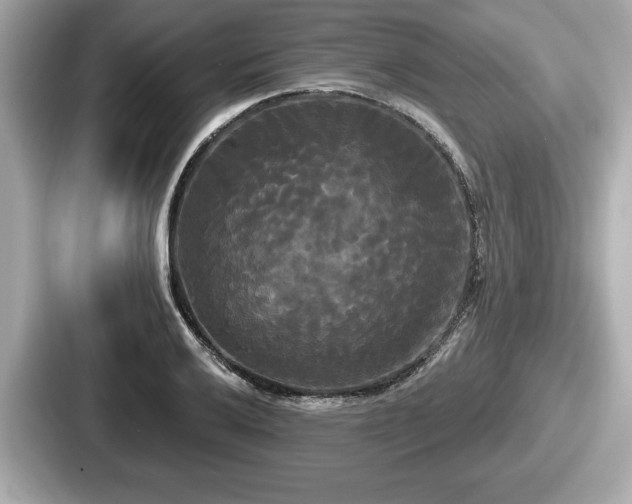 X0000087631032200705101023