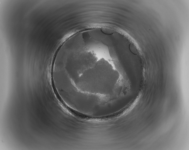 X0000087631033200705101023