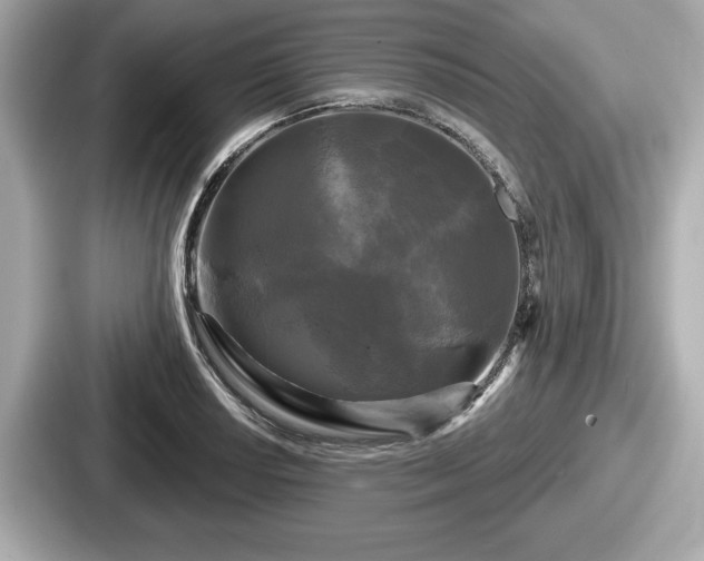 X0000087631034200705101023