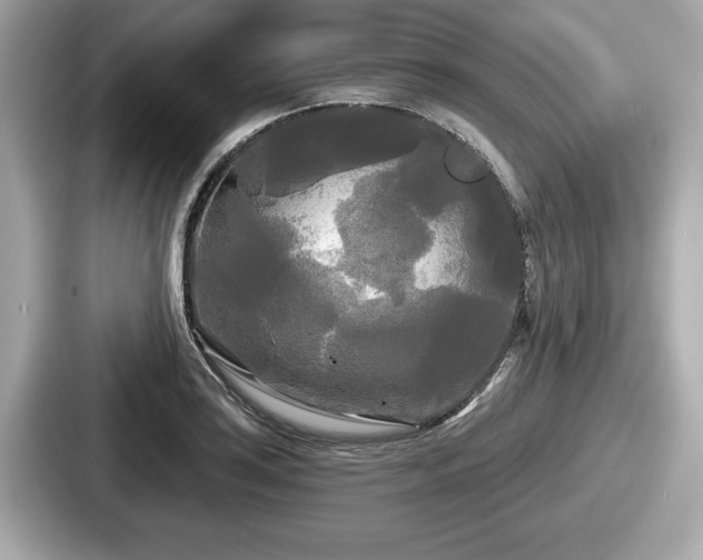 X0000087631035200705101023