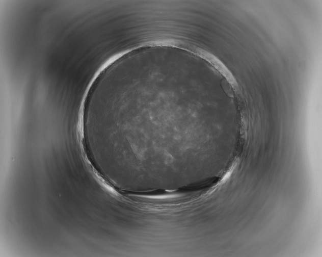 X0000087631036200705101023