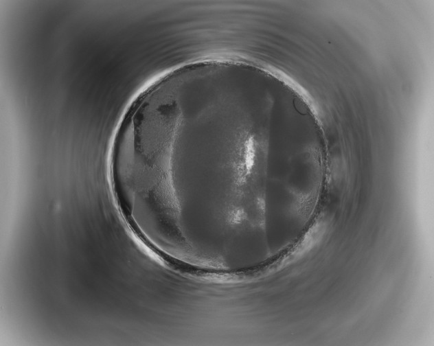 X0000087631037200705101023