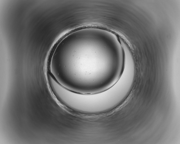 X0000087631038200705101023