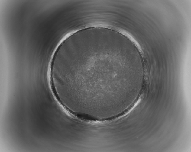 X0000087631040200705101023